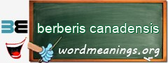 WordMeaning blackboard for berberis canadensis